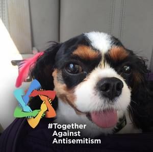 Meet your Posher, Sherry